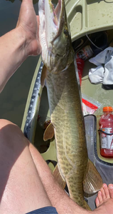 Reel in Smallmouth Bass!